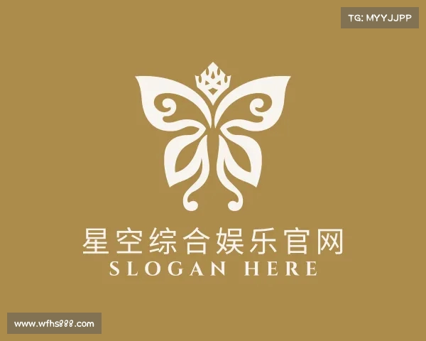 介绍星空综合娱乐官网